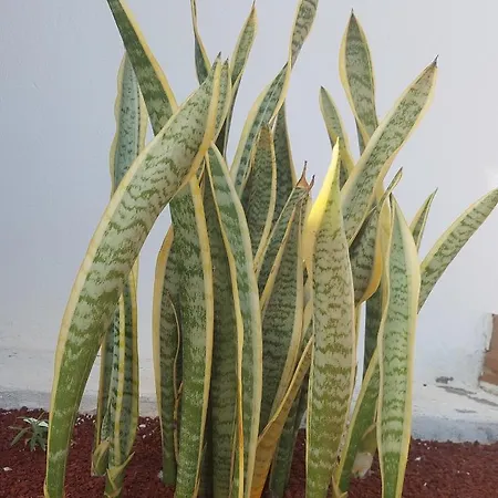 Vila Hipoclub Villas, Aguamarina 30 Playa Blanca (Lanzarote)