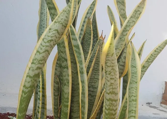 Вилла Hipoclub Villas, Aguamarina 30 Коста Бланка