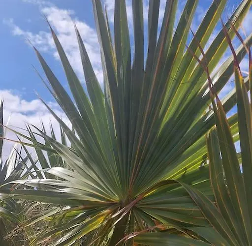 Hipoclub Villas, Aguamarina 30 빌라 플라야블랑카